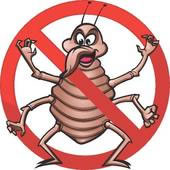 Delete Bed Bugs